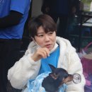 단풍나무펜션 이미지