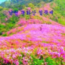 장수읍 싸리재로 이미지