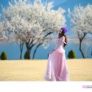 매화공원 이미지