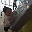 풀잎어린이공원 Daum카페
