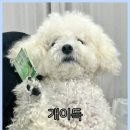 사나래 | [사나래 울산본점] 후기 | 울산 울주군 언양 불고기·페페로니 치즈 감자전 맛집_#27