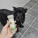 포스앤네이처 펫살롱 | 반려견 피부 건강 지킴이, 포스앤네이처 비타민 샤워필터 후기
