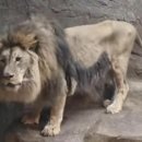 부경공인중개사사무소 이미지