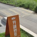 원트커피 | 커피, 소금빵, 망고빙수까지 완벽한 서산 원트 방문후기