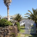 텃밭민박 이미지