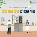 [다시 젊어질 수 있다고 믿는 사람] / [냉장보관(冷藏保管)하면 안 좋은 식품(食品)] 이미지