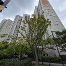 향동로, 향기로 이미지