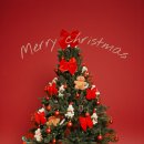 다온 펫 살롱 이미지