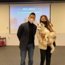 쉐이크테일 강아지 애견 유치원 호텔 미용 | 평택 애견유치원 쉐이크테일, 안심하고 출근해요