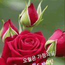 방랑의 마음/오상순 이미지