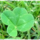 기쁨목장 이미지