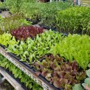 서수원농자재마트 이미지