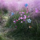 중부대학교 인문산업대학원 이미지