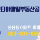 이리스공인중개사사무소 네이버블로그