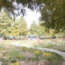 햇살공원 배드민턴장 이미지