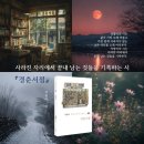 대광여인숙 - 안양시 만안구 만안로 177 | 대광여인숙