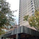 송백침구 | 웨스틴조선서울 호텔 디럭스 킹 혼캉스 룰루랄라 후기
