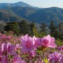 철탑목장 이미지