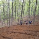 칠봉농장 이미지