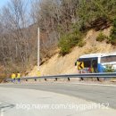 도담 펜션민박 이미지