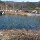 하늘바람꽃농원