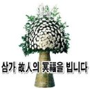 현광호