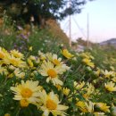 모리폴리 이미지