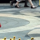 명동오리 이미지