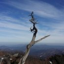 (주)태백산건축
