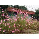 마장1리회관 네이버블로그