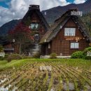 동화숲민박 이미지