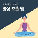 골드붕어의 어쩌다 마케팅 이미지