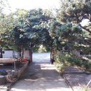 노변주유소 이미지