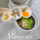 음식물분쇄처리기에코씽 | 가정용 음식물쓰레기처리기 분쇄형 미닉스 만족 후기
