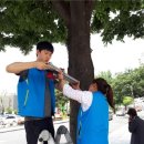 대구나무병원 이미지
