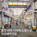 학성새벽시장 공영주차장 | 잠든 도시를 깨우는 울산 최대 식자재 도매시장 <학성새벽시장> 첫 방문기