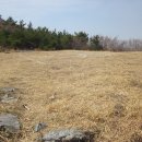 생일면-1 이미지