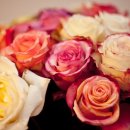 내품에동물병원 이미지