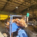 선달농장 이미지