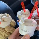 브레드정j | 부산에서 강릉1박2일 우정여행 (반뚜벅이여행)