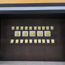 혼즈 | 250622 :: 레몬뮤직페스티벌 🍋 혼즈 오렌지플레이버드시가렛 글렌체크 @달서아트센터