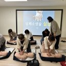 남산유치원 충북일보