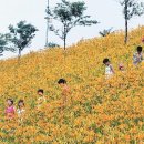 노고단인력