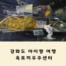 우주 | 서울근교 강화도 아이가 너무 좋아했던 옥토끼우주센터 후기