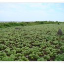 길목민박 이미지