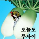 한국과 미국 이미지