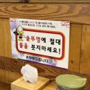 감골오리 이미지