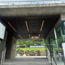 너비울 | [포천/애견카페]강아지 운동장이 있는 디저트맛집 울미숲 &amp; 펫 그라운드 방문후기