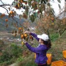 수화농장 이미지