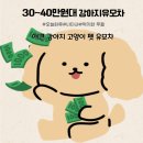 타이어스토아 | 개모차 강아지 유모차 30만원 40만원대 반려동물 펫 유모차
